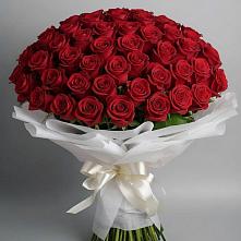 Букет 101 Красная роза Блэк Мэджик в Дедилово
