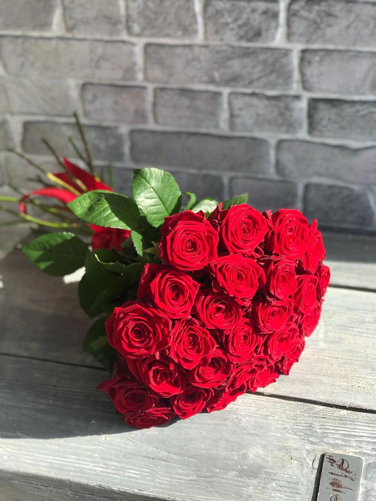 Букет Красные розы Фридом в Дедилово