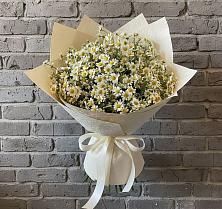 Букет цветов из:  Ромашки #REPLACE_PRED# Дедилово