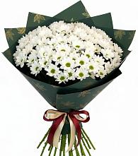 Букет цветов из:  Хризантемы #REPLACE_PRED# Дедилово