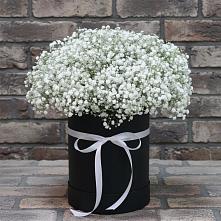 Цветочная композиция из Гипсофила в шляпной коробке в Дедилово