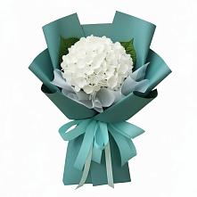 Букет цветов из:  Гортензия #REPLACE_PRED# Дедилово